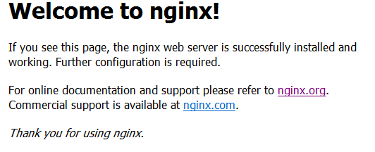 nginxsuccessfully